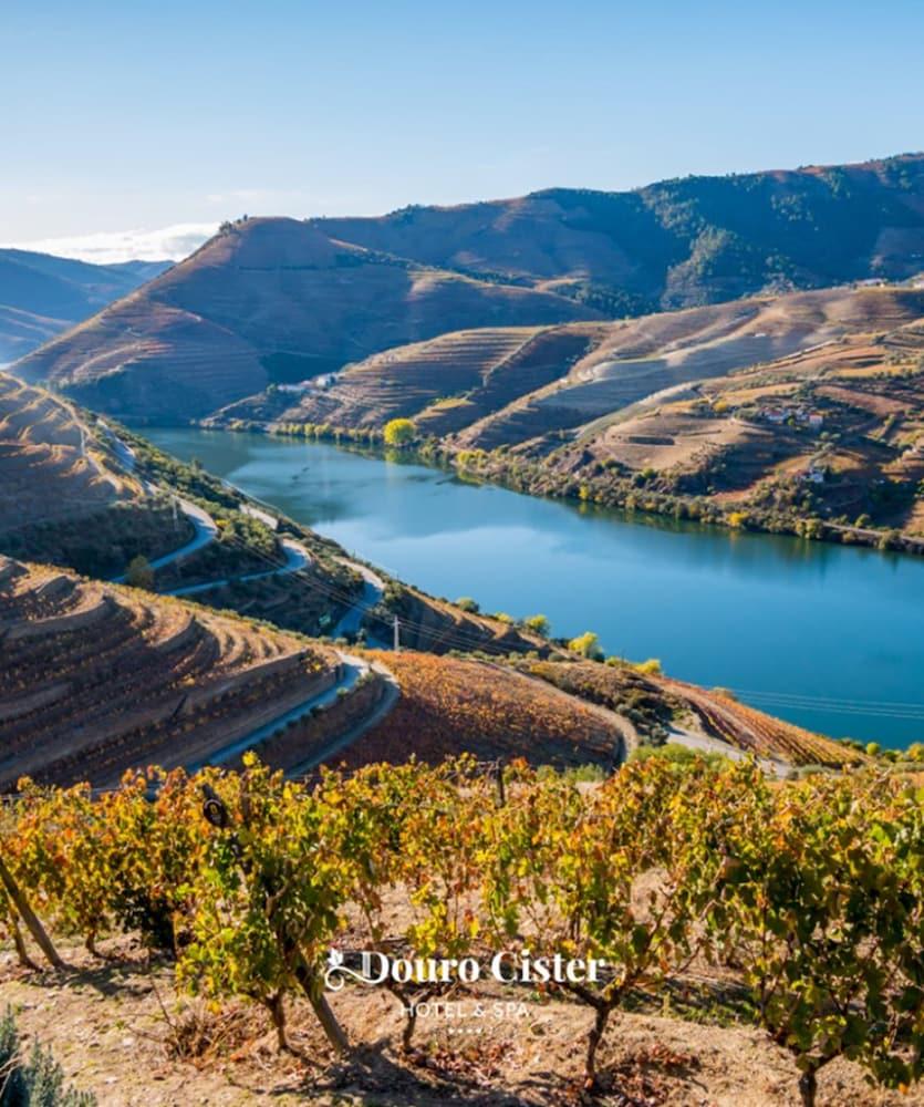 Douro Cister Hotel Resort Ucanha ภายนอก รูปภาพ