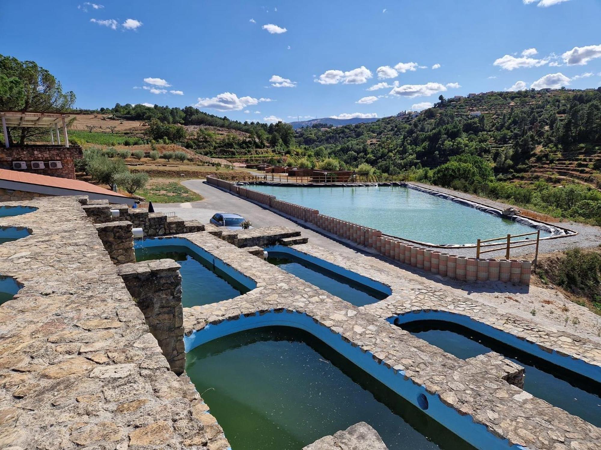 Douro Cister Hotel Resort Ucanha ภายนอก รูปภาพ