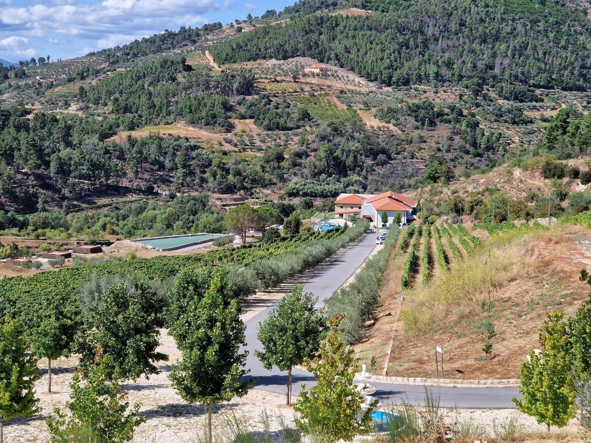 Douro Cister Hotel Resort Ucanha ภายนอก รูปภาพ